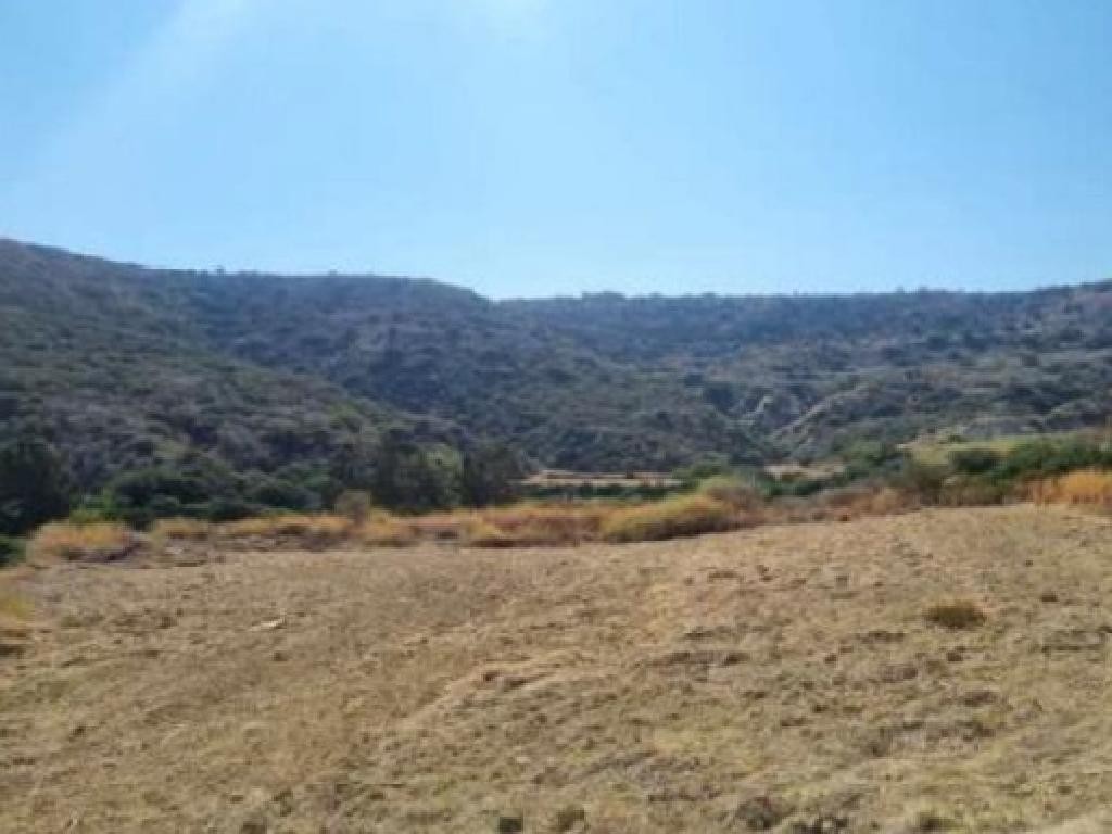 Pissouri, Limassol Agricultural Field For Sale | WW28575