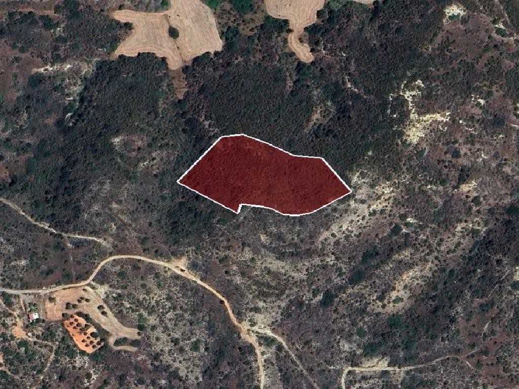 Field - Pissouri, Limassol