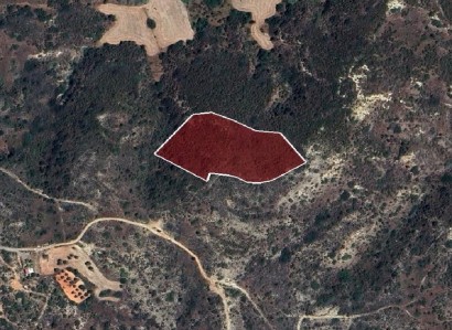 Pissouri, Limassol Agricultural Field For Sale | WW28575