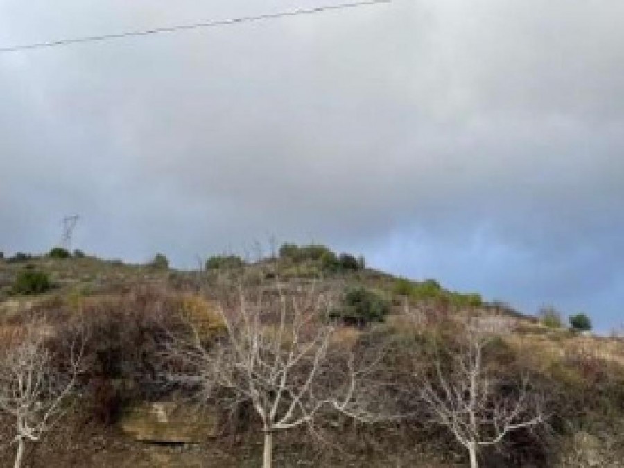 Pelendri, Limassol Agricultural Field For Sale | WW26370