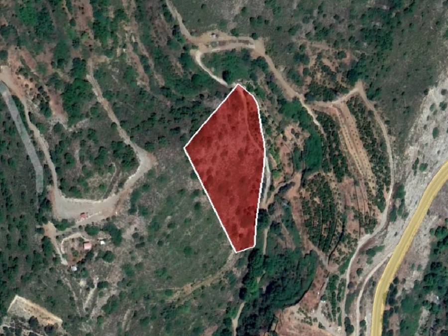 Field - Pelendri, Limassol