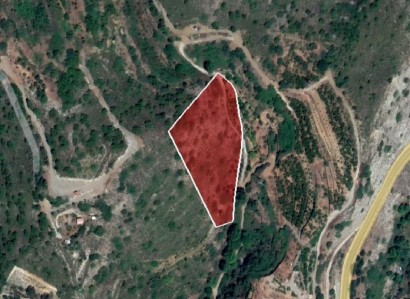 Pelendri, Limassol Agricultural Field For Sale | WW26370