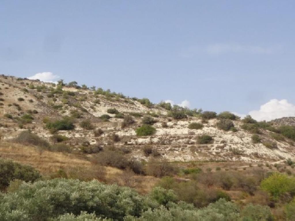 Amargeti, Paphos Agricultural Field For Sale | WW28603