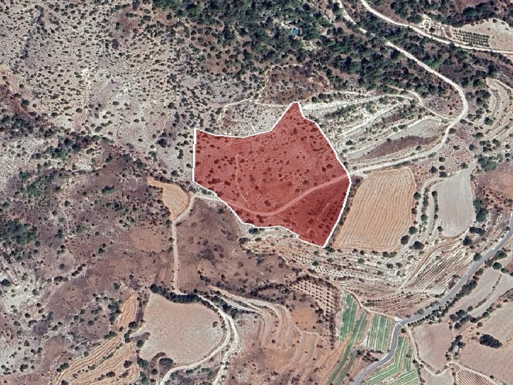 Field - Amargeti, Paphos