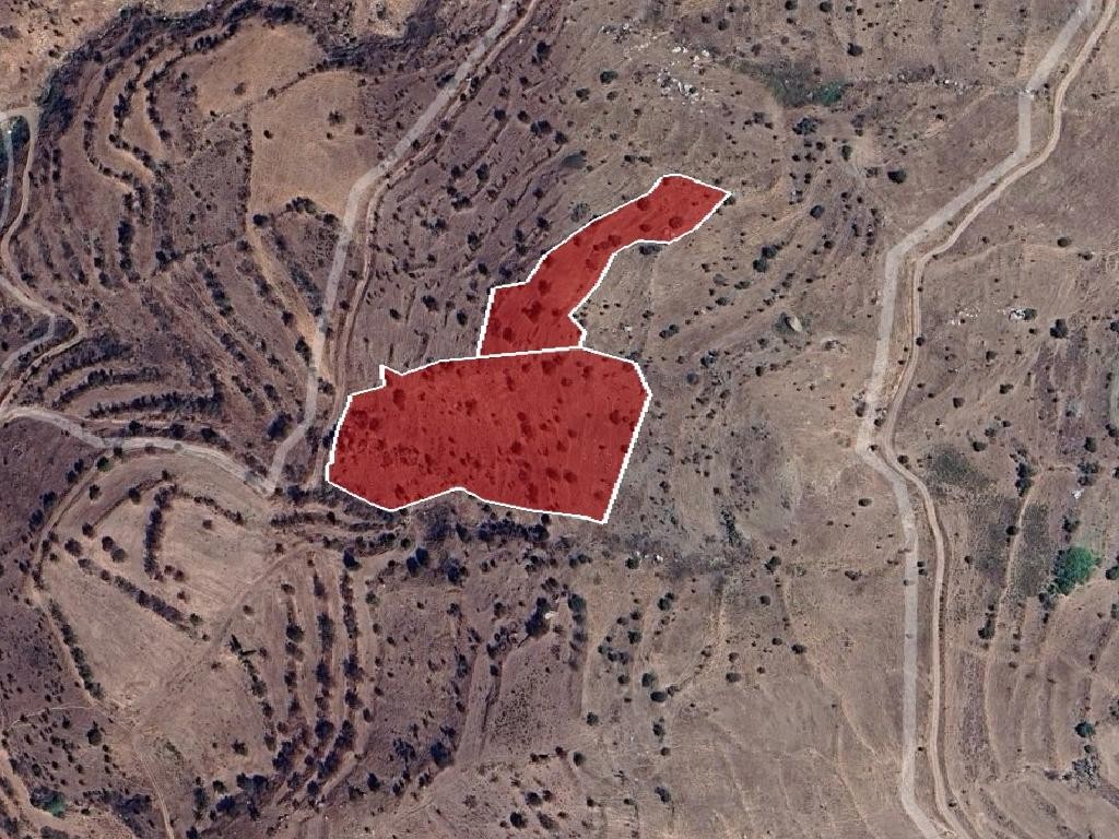 Field - Pentalia, Paphos