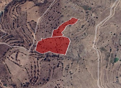 Pentalia, Paphos Agricultural Field For Sale | WW28605