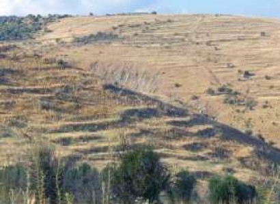 Pentalia, Paphos Agricultural Field For Sale | WW28606