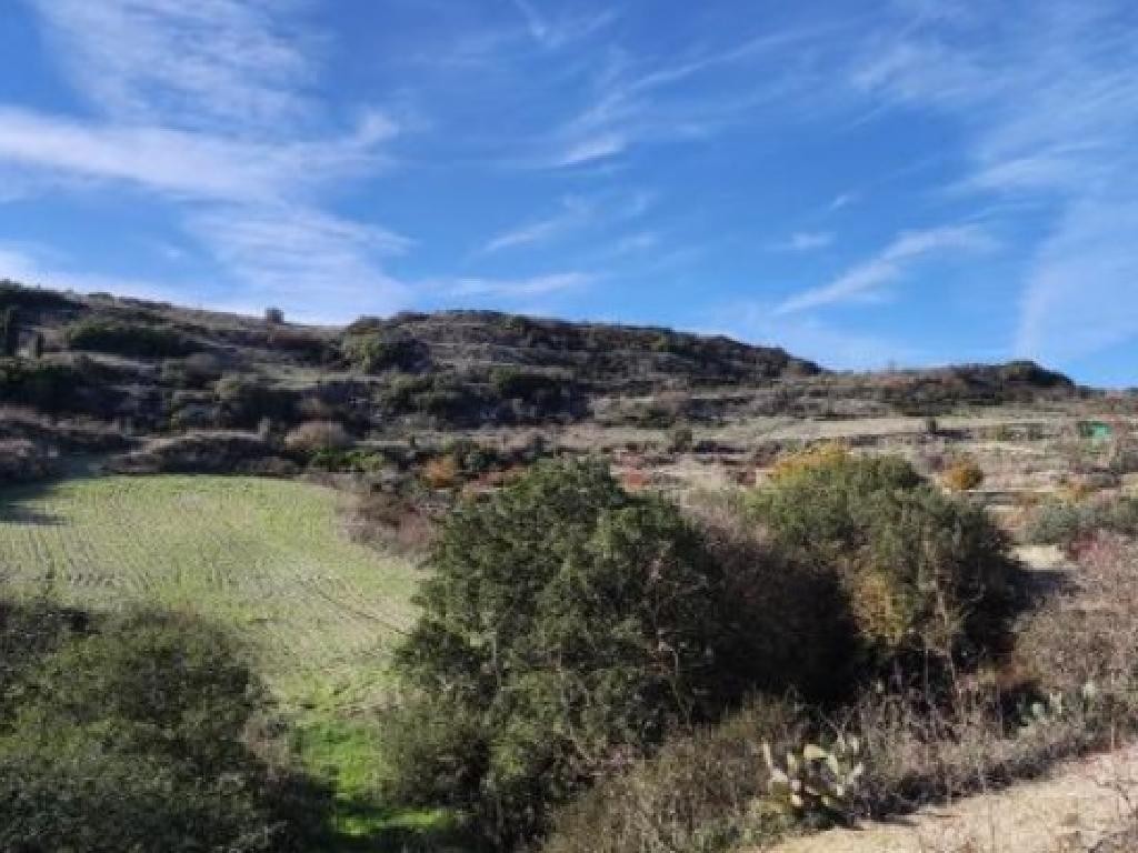 Theletra, Paphos Commercial Field For Sale | WW28608