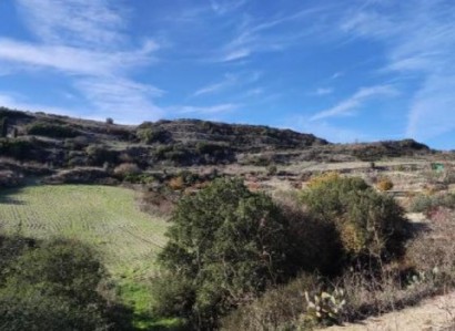 Theletra, Paphos Commercial Field For Sale | WW28608