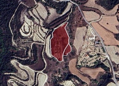 Theletra, Paphos Commercial Field For Sale | WW28608