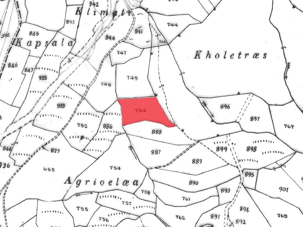 Field - Galataria, Paphos