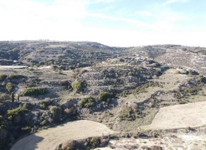 Theletra, Paphos Agricultural Field For Sale | WW28611