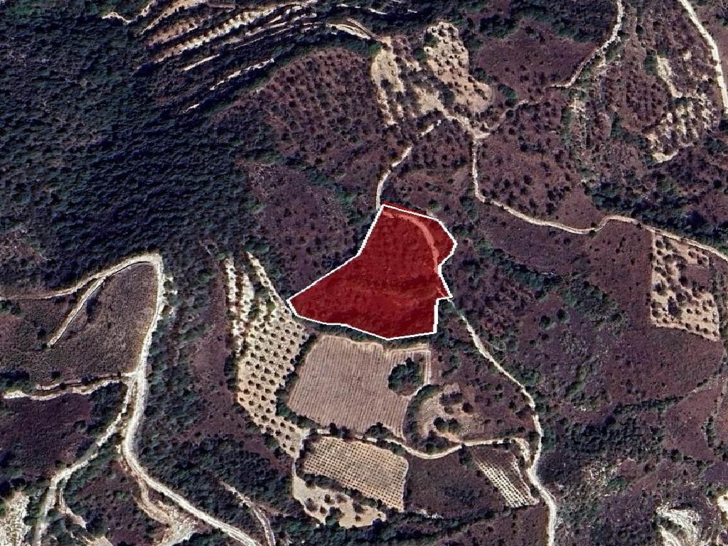 Field - Theletra, Paphos