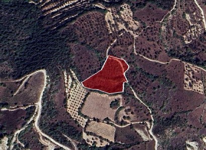 Theletra, Paphos Agricultural Field For Sale | WW28611