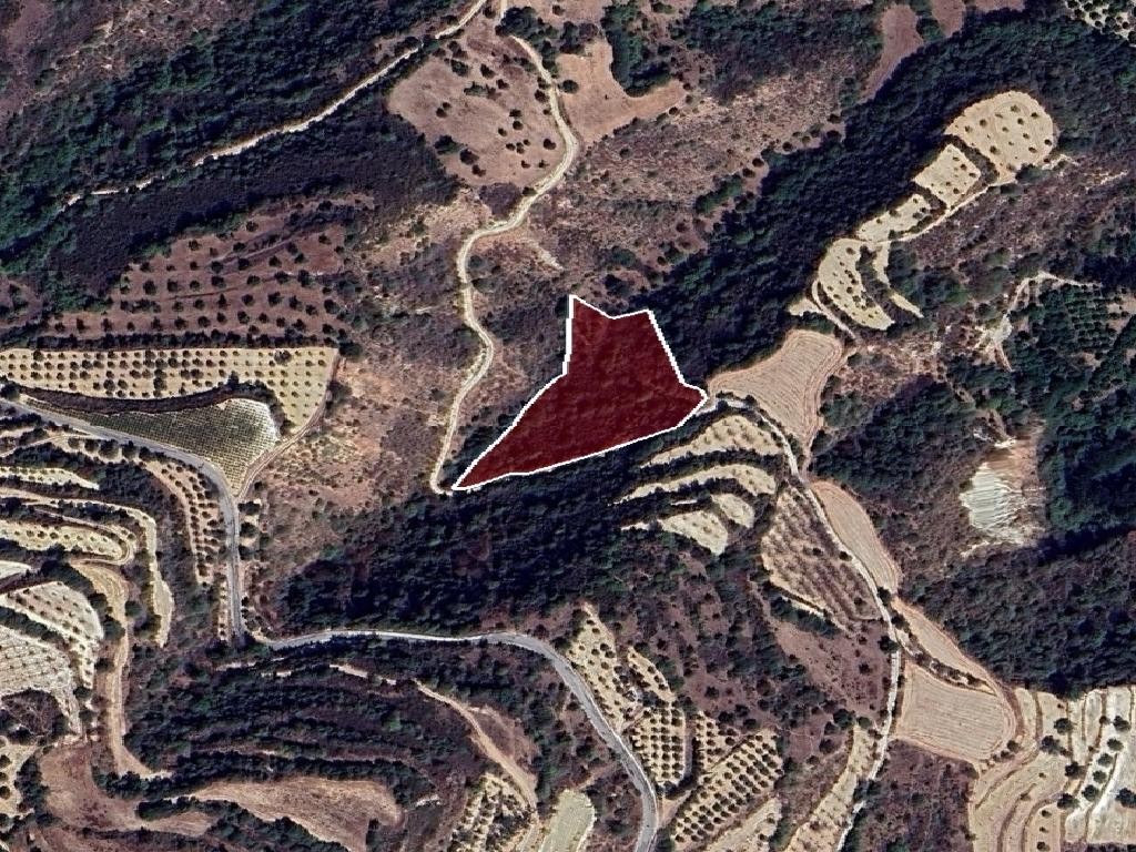 Field - Loukrounou, Paphos
