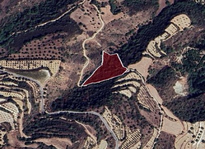 Loukrounou, Paphos Agricultural Field For Sale | WW28612