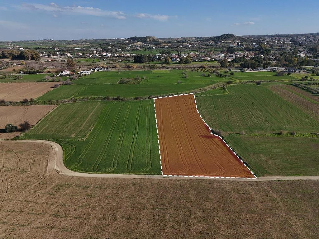 Field - Episkopeio, Nicosia