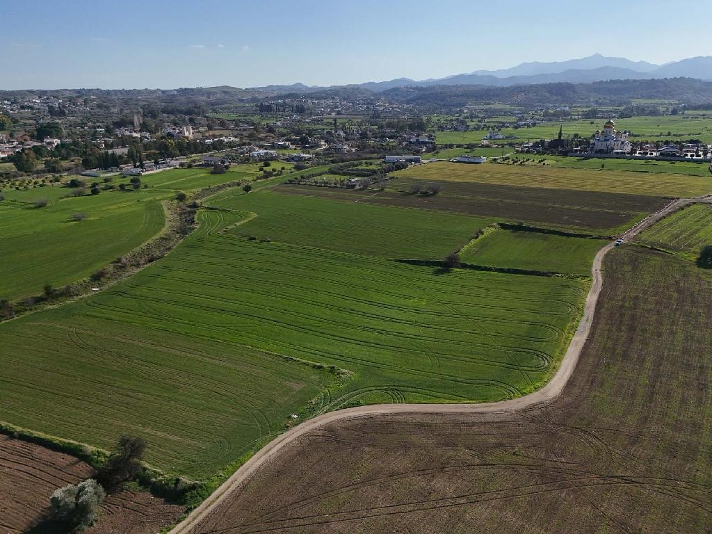 Field - Episkopeio, Nicosia