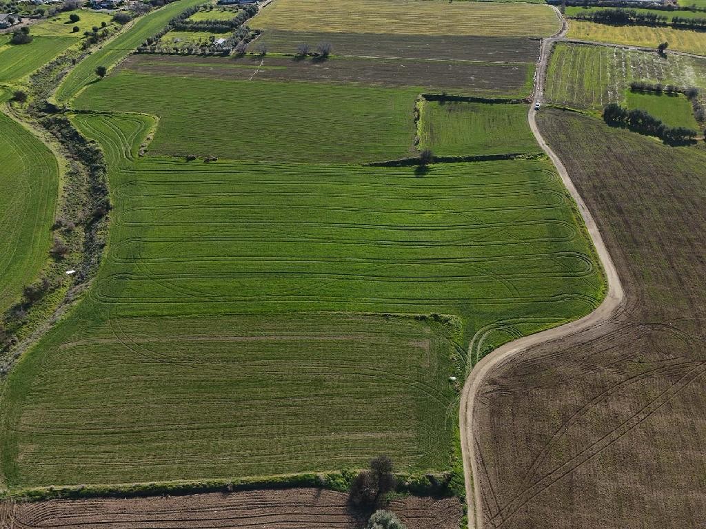 Field - Episkopeio, Nicosia