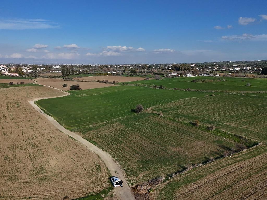 Field - Episkopeio, Nicosia
