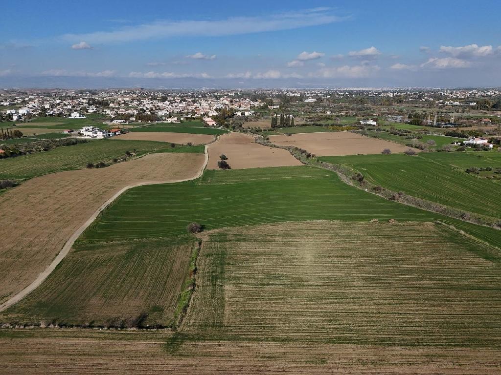 Field - Episkopeio, Nicosia