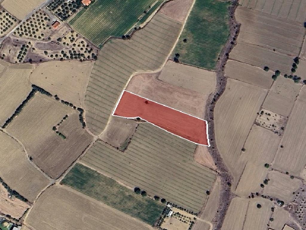 Field - Episkopeio, Nicosia