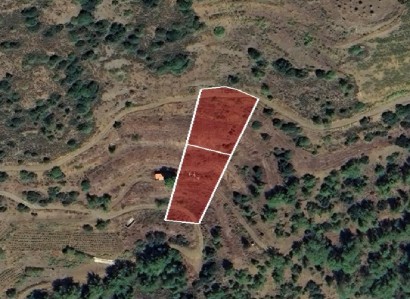 Sykopetra, Limassol Agricultural Field For Sale | WW28643