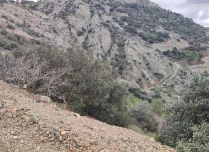 Sykopetra, Limassol Agricultural Field For Sale | WW28644