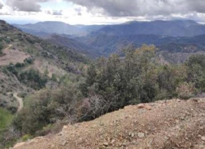 Sykopetra, Limassol Agricultural Field For Sale | WW28644