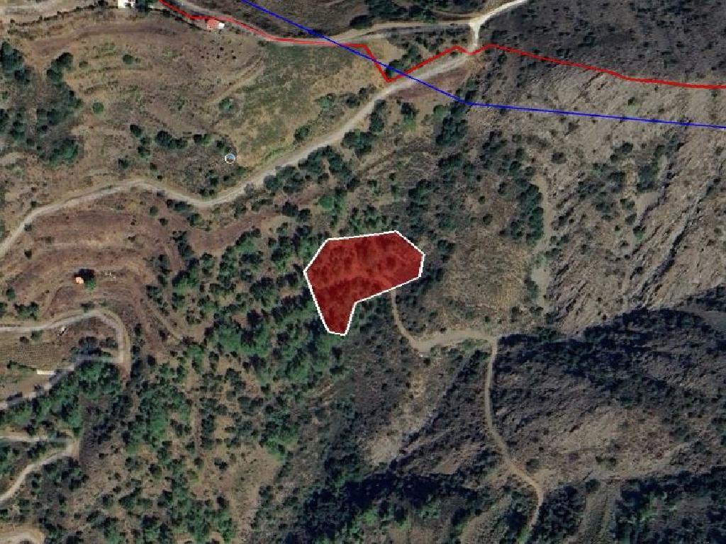 Field - Sykopetra, Limassol