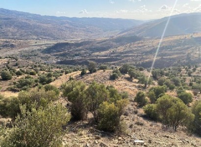 Galataria, Paphos Agricultural Field For Sale | WW28648