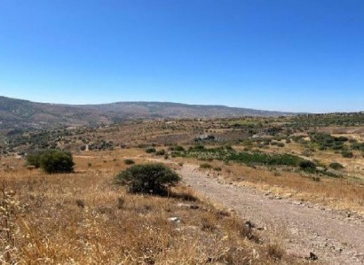 Galataria, Paphos Agricultural Field For Sale | WW28652