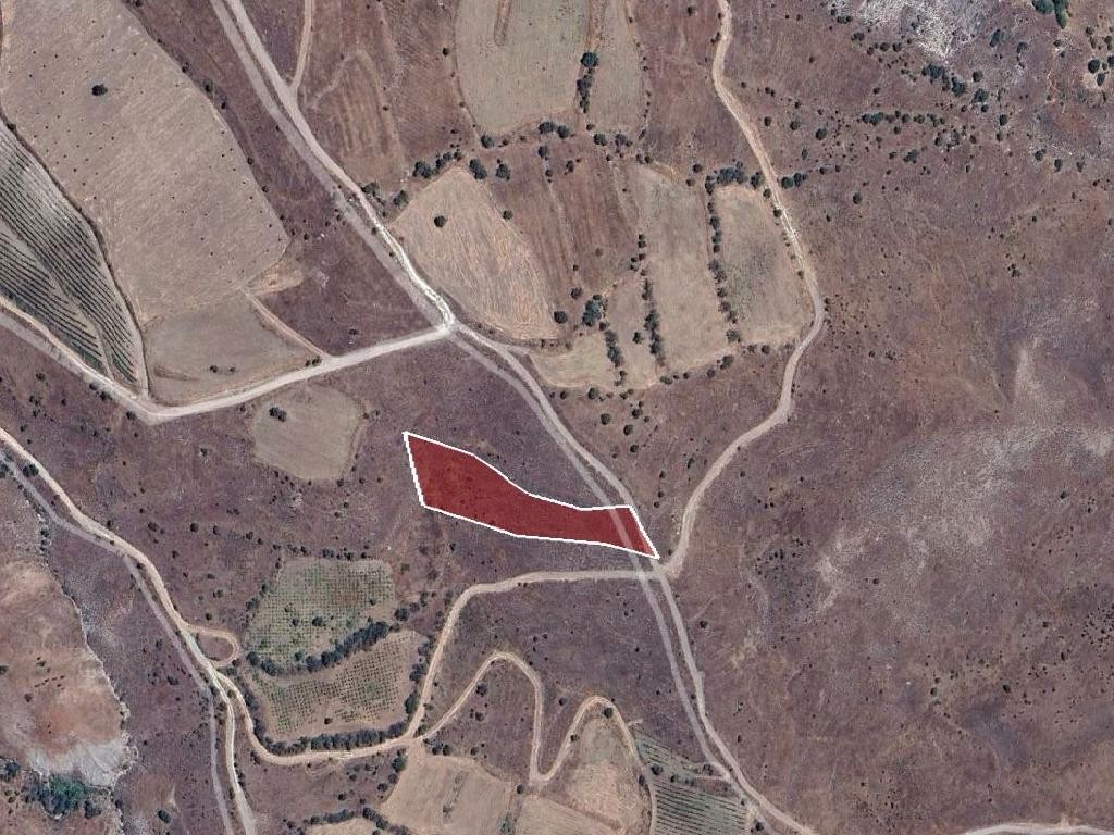 Field - Galataria, Paphos