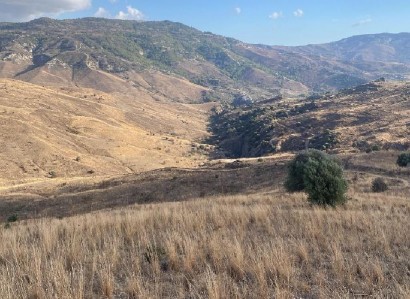 Galataria, Paphos Agricultural Field For Sale | WW28653