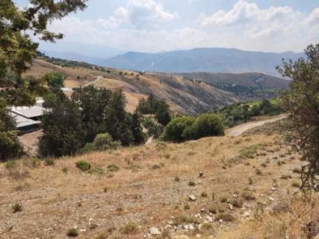 Koilineia, Paphos Agricultural Field For Sale | WW28654