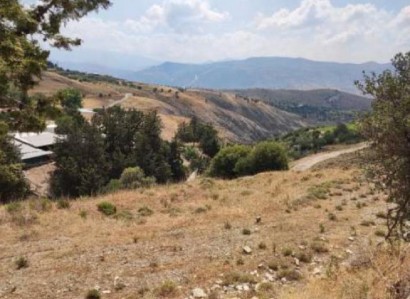 Koilineia, Paphos Agricultural Field For Sale | WW28654