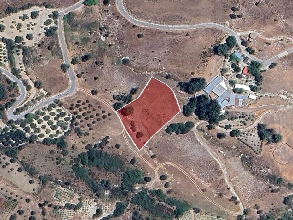 Field - Koilineia, Paphos