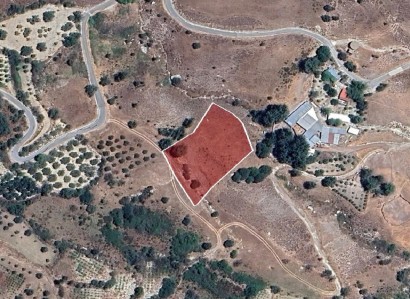 Koilineia, Paphos Agricultural Field For Sale | WW28654