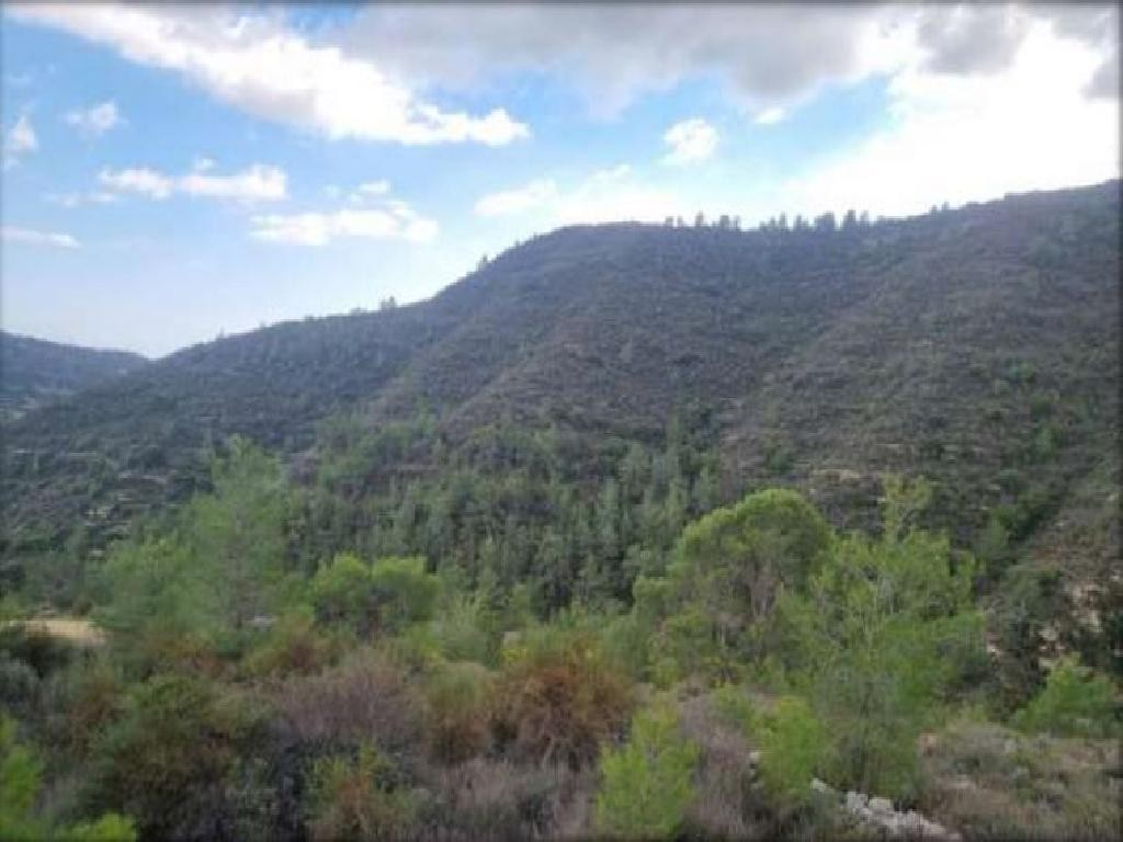 Agios Georgios Agricultural Field For Sale | WW28699