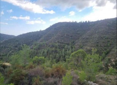Agios Georgios Agricultural Field For Sale | WW28699