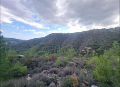 Agios Georgios Agricultural Field For Sale | WW28699