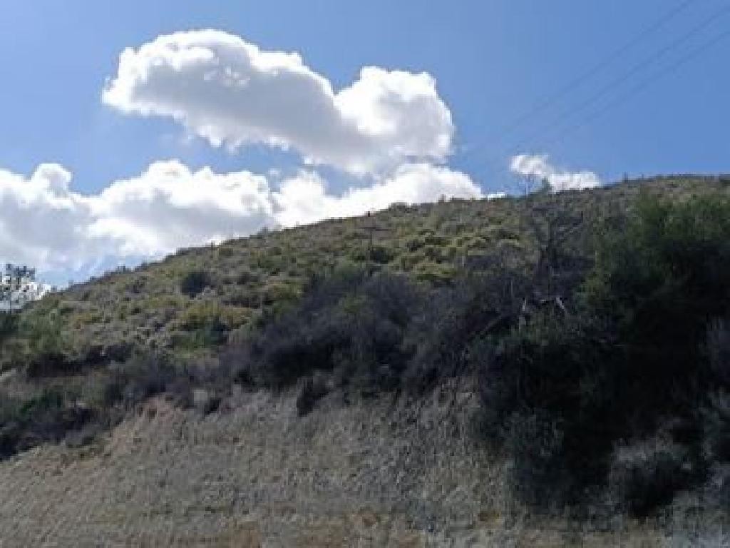 Field - Agios Georgios, Limassol