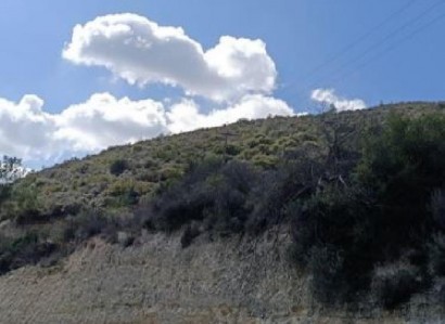 Agios Georgios Agricultural Field For Sale | WW28699