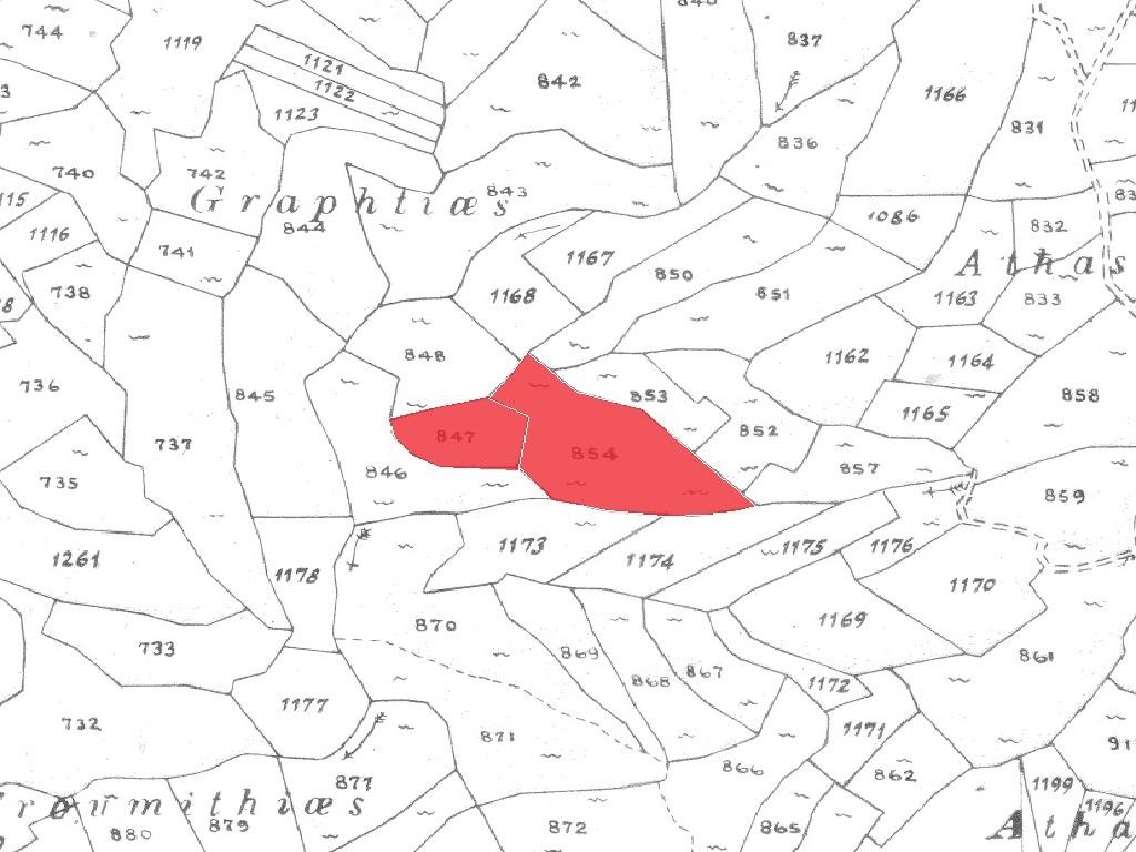 Field - Vasa Koilaniou, Limassol