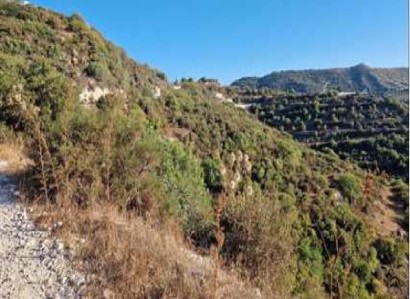 Dora, Limassol Agricultural Field For Sale | WW28708