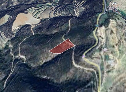 Dora, Limassol Agricultural Field For Sale | WW28708