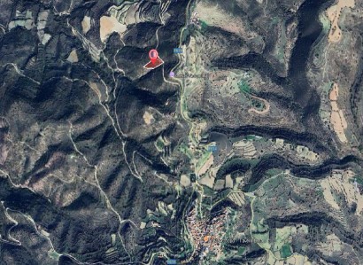 Dora, Limassol Agricultural Field For Sale | WW28708