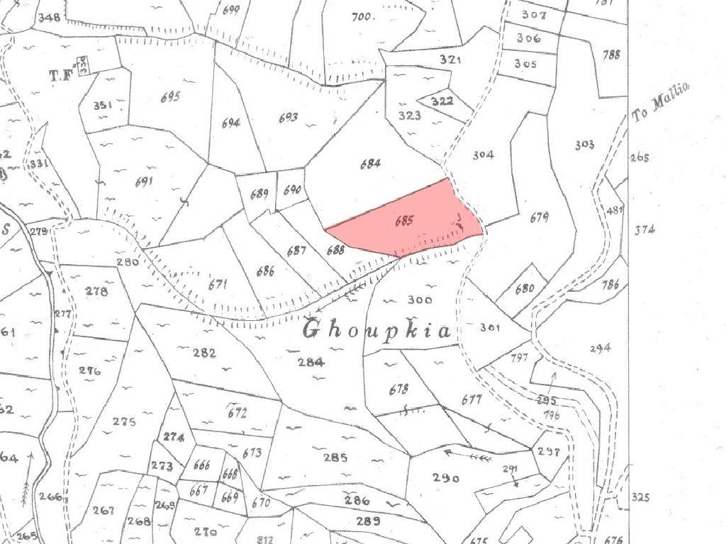 Field - Dora, Limassol