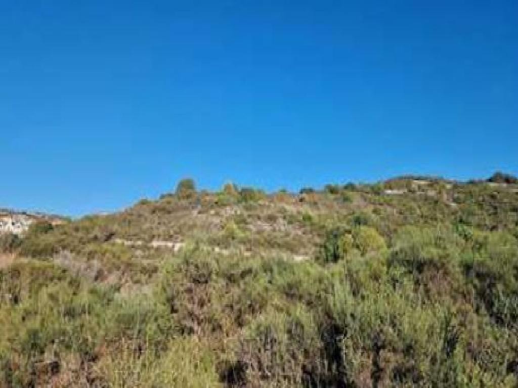 Dora, Limassol Agricultural Field For Sale | WW28709