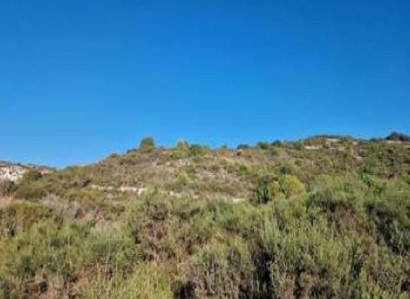 Dora, Limassol Agricultural Field For Sale | WW28709
